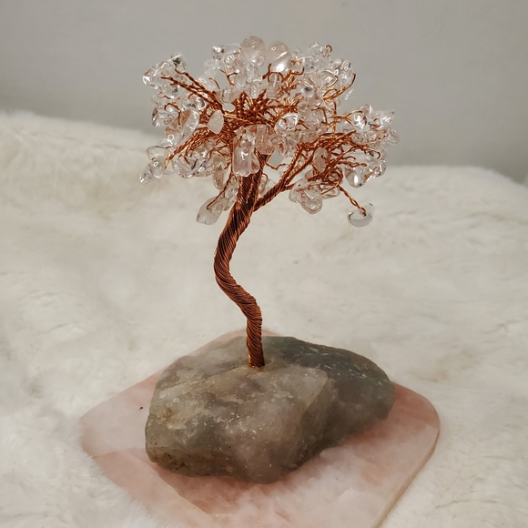 Clear Quartz Crystal Tree with Fluorite Base - Picture 4 of 13